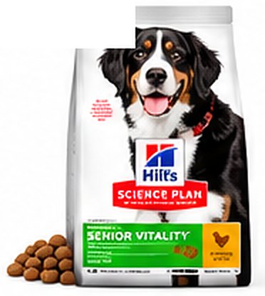 Hill's Science Plan Adult 6+ Senior Vitality Large
