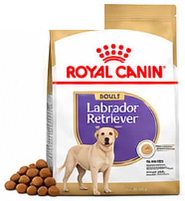 Royal Canin Labrador Retriever Sterilised Adult Dry Dog