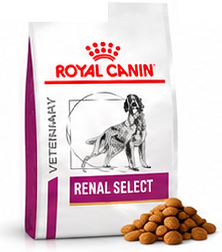 Royal Canin Renal Select Dry Food for Dogs