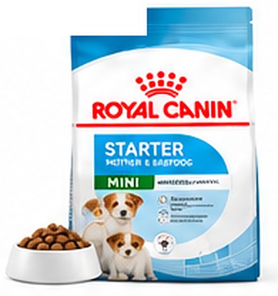 Royal Canin Starter Mother & Babydog Mini Breed Dry